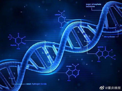 科技之光 環(huán)境科技如何重塑美容行業(yè)的未來
